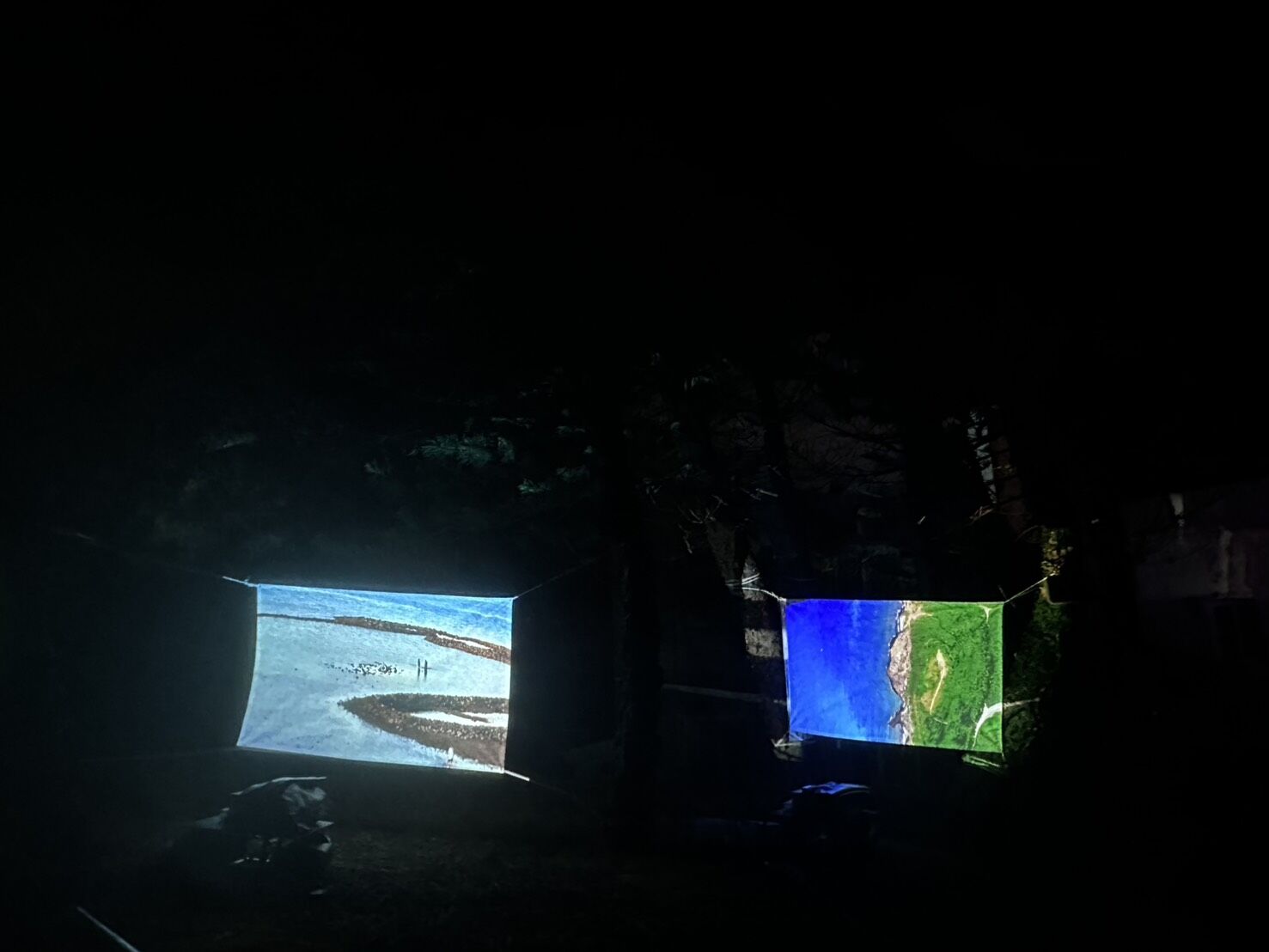 黃翰柏〈林間潮汐〉2025/新媒體